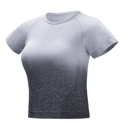 Seamless Gradient Crop T-Shirt