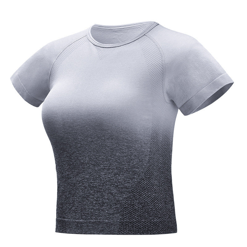 Seamless Gradient Crop T-Shirt