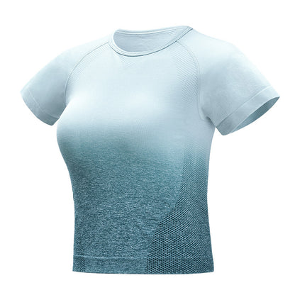 Seamless Gradient Crop T-Shirt