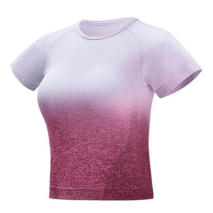 Seamless Gradient Crop T-Shirt