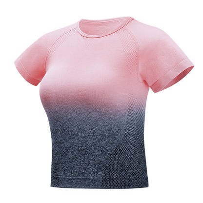 Seamless Gradient Crop T-Shirt